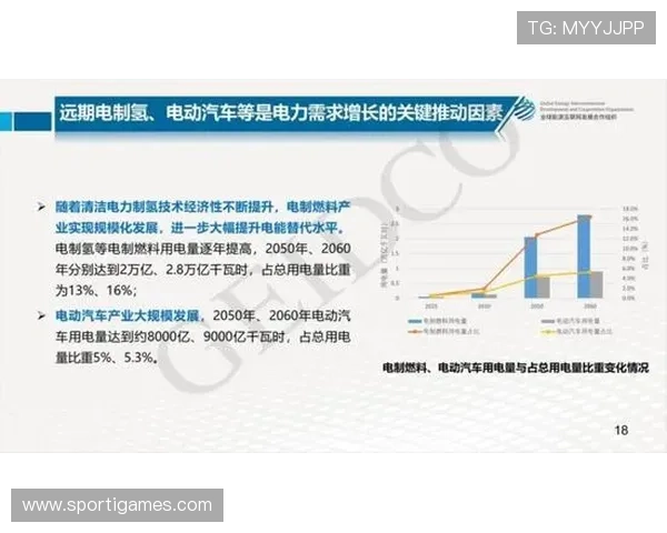 爱体育app官网未来发展规划，展望爱体育app官网在体育娱乐行业的未来发展方向